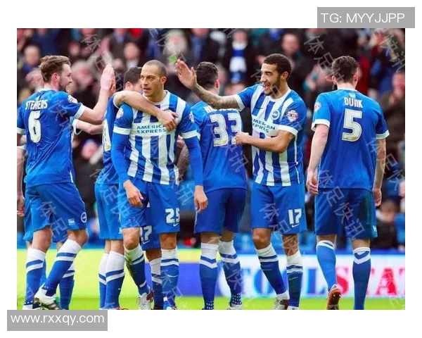 埃弗顿与布莱顿精彩对决全场录像回放及精彩瞬间分析